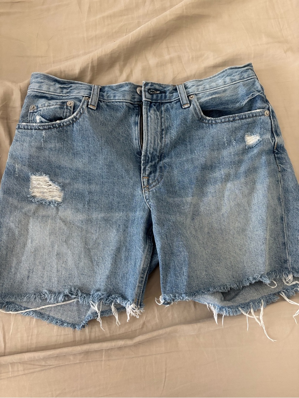 Everlane Light Blue Distressed Denim Shorts